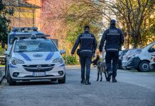 POLIZIA LOCALE, CONTROLLI NEI PARCHI E IN ZONA TEMPIO