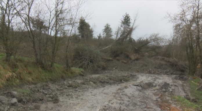 FRANA BOCCASSUOLO, CONTINUA A CORRERE, BRAGLIA: ‘SIAMO STANCHI E AVVILITI’