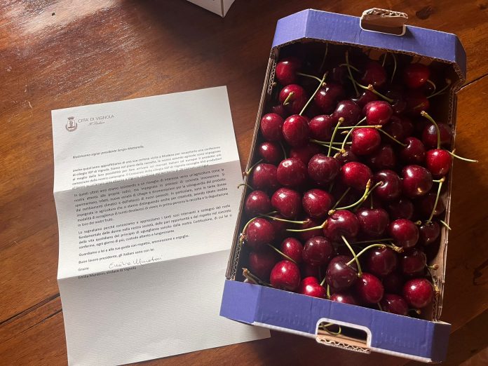 WhatsApp Image 2025-05-23 at 09.03.04 (1)