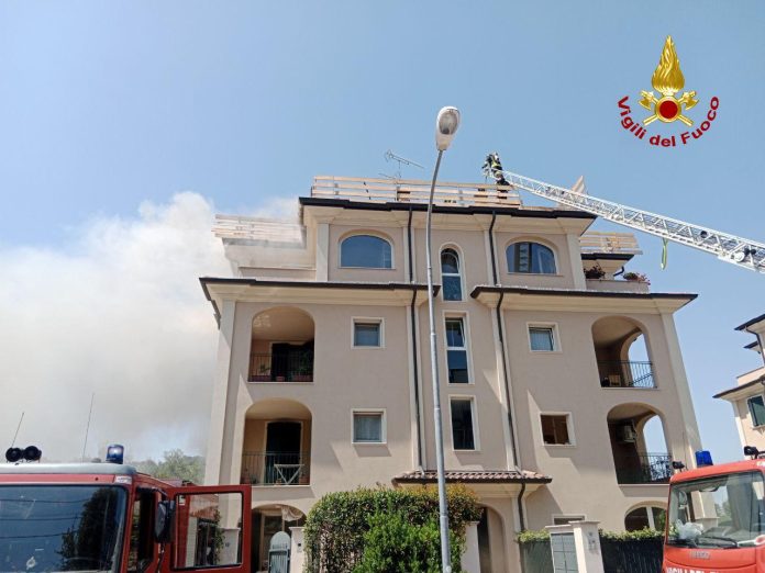 WhatsApp Image 2025-06-20 at 17.11.22