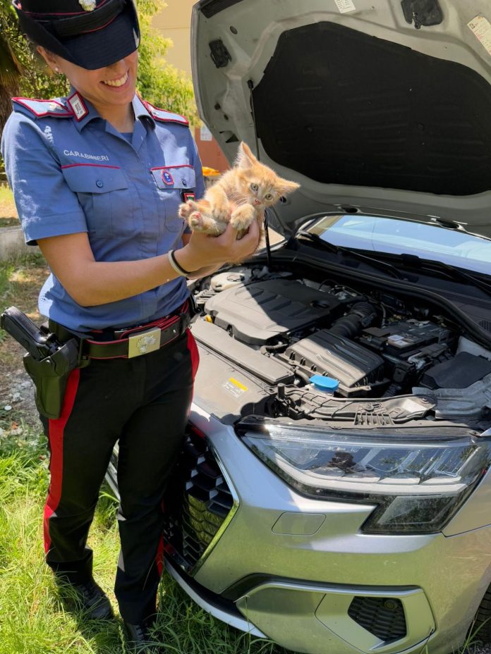 WhatsApp Image 2025-06-24 at 09.45.13 (1)