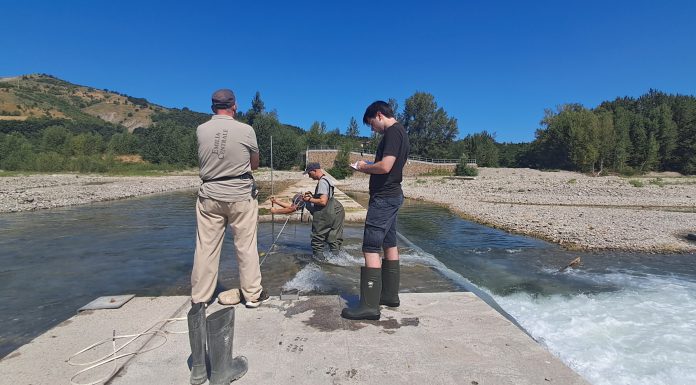 FIUME SECCHIA, PORTATE SOTTO OSSERVAZIONE