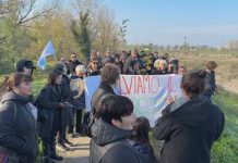 BRETELLA SASSUOLO-CAMPOGALLIANO, SCATTA LA PROTESTA CONTRO LA DEFORESTAZIONE