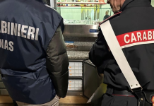 MOVIDA SICURA, SEQUESTRI E SANZIONI IN UN CIRCOLO PRIVATO