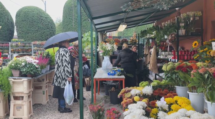 FIORI E RICORDI, LA CITTÀ SI PREPARA ALLA COMMEMORAZIONE DEI DEFUNTI