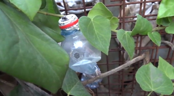 CONSUMO DI CRACK, USO QUASI RADDOPPIATO NEGLI ULTIMI 15 ANNI