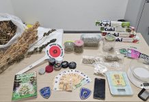 UNIONE TERRE DI CASTELLI, TROVATE DUE PICCOLE CENTRALI DI SPACCIO