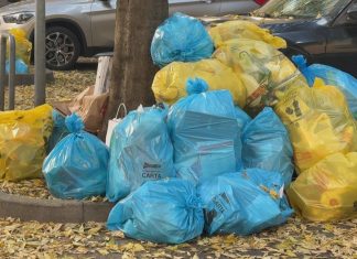 TG QUI MERCOLEDI 12 NOVEMBRE 2025