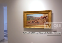 EUGENIO CECCONI -Giornate di caccia e di colore