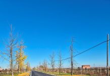 NUOVA PEDEMONTANA, ULTIMATI A CASTELVETRO GLI INTERVENTI DI MANUTENZIONE STRAORDINARIA