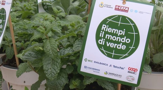 UNA CITTA’ VERDE, UNA INSTALLAZIONE PER RIFLETTERE SULLA CURA DEL PIANETA