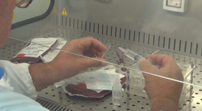 COMBATTERE L’AIDS, CASI IN CALO. MA ANCORA TROPPE DIAGNOSI TARDIVE