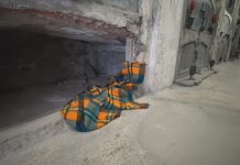 CIMITERO SAN CATALDO, I LOCULI DIVENTANO RIFUGIO PER SENZATETTO