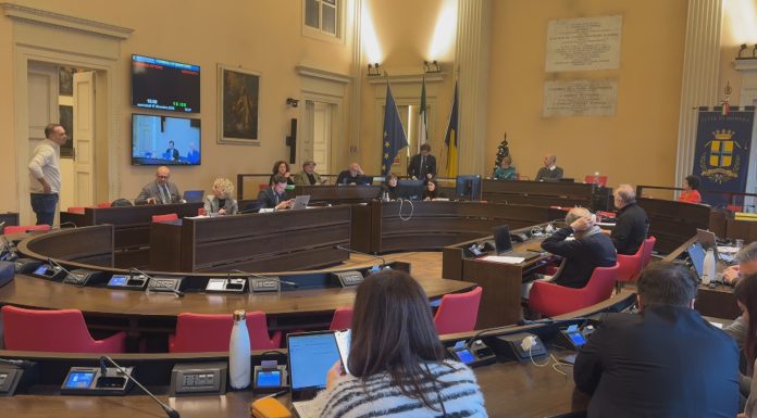 DELIBERA PARTECIPATE, ZANCA: “SU AMO E SETA SCENARI IN EVOLUZIONE”