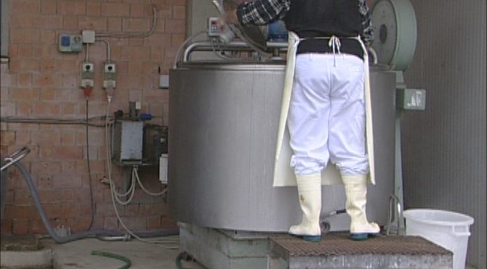 PREZZO DEL LATTE, RAGGIUNTA L’INTESA PER EVITARE IL CRAC DELLE STALLE