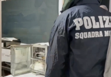 DROGA E CRIMINALITA’ DIFFUSA, BLITZ DELLA POLIZIA DI STATO: 10 ARRESTI A MODENA