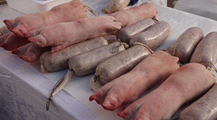 COMPARTO CARNI, SFIDE E PROSPETTIVE TRA PESTE SUINA E DAZI DI TRUMP