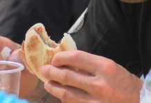 CIBO CHE PASSIONE, L’ITALIA NEL PIATTO: TRA GUSTO E ORGOGLIO