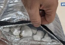 NASCONDE DROGA NELLA BORSA DA RIDER, ARRESTATO UN TUNISINO