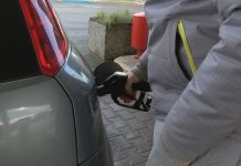 CARBURANTE, QUANTO MI COSTI. A CARPI FINO A 3 EURO IN PIÙ A PIENO