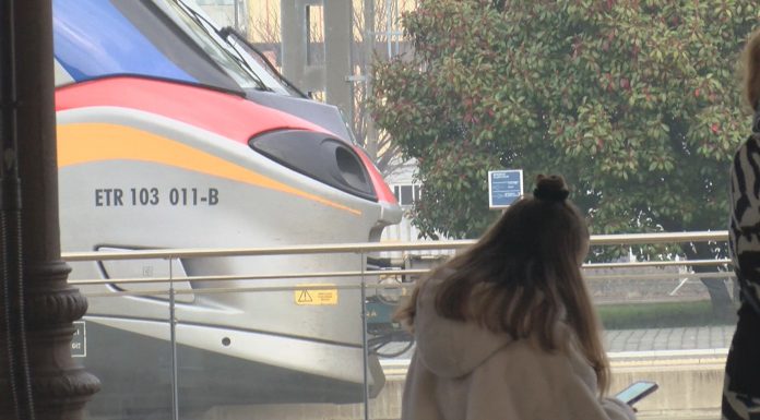 DONNA DISABILE, MOLESTATA SUL TRENO, ARRESTATO 39ENNE