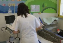 INFLUENZA K, PIU’ CASI DI POLMONITI TRA I GIOVANI