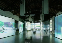 ISAAC JULIEN. ALL THAT CHANGES YOU