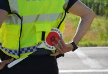 A MIRANDOLA, POLIZIA LOCALE: TRA TUTELA AMBIENTALE E SICUREZZA