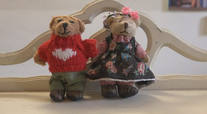 MS ROSE BEAR, NELLE SALE DEL LECCIO IL MONDO DELL’ORSETTA INGLESE
