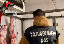 CONTROLLI DEI NAS IN UNA MACELLERIA: SEQUESTRATI 27 CHILI DI CARNE