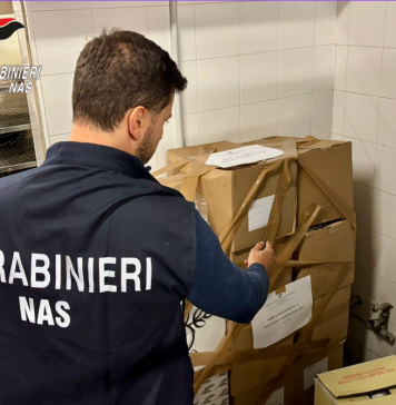 CARABINIERI NAS PARMA: SEQUESTRATE OLTRE 290 CONFEZIONI DI CONSERVE IRREGOLARI