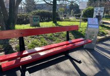 VERSO S. VALENTINO, A VIGNOLA INAUGURATA UNA NUOVA PANCHINA ROSSA