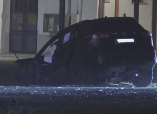 TG QUI DOMENICA 1 FEBBRAIO 2026