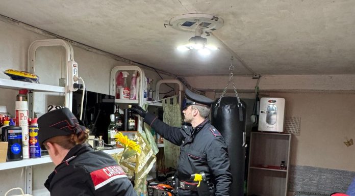 LADRO SERIALE NEI GARAGE TRA VIGNOLA E SPILAMBERTO: ARRESTATO 36 ENNE