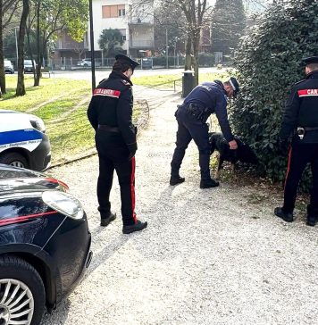 VIGNOLA: ARRESTATI DUE GIOVANI PER SPACCIO DI COCAINA NEL PARCO “VILLA TRENTI”. CONTROLLI CONGIUNTI ANCHE SU ESERCIZI PUBBLICI. CONVALIDATI GLI ARRESTI