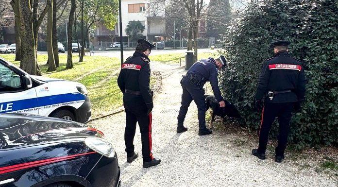 VIGNOLA: ARRESTATI DUE GIOVANI PER SPACCIO DI COCAINA NEL PARCO “VILLA TRENTI”. CONTROLLI CONGIUNTI ANCHE SU ESERCIZI PUBBLICI. CONVALIDATI GLI ARRESTI
