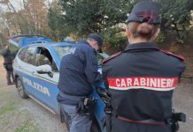 ZONE ROSSE, CONTROLLI A TAPPETO: CANI ANTIDROGA E PATTUGLIE IN STAZIONE