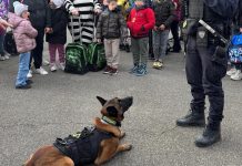 POLIZIA LOCALE SORBARA, SERVIZI STRAORDINARI ANTIDROGA