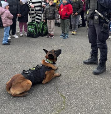 POLIZIA LOCALE SORBARA, SERVIZI STRAORDINARI ANTIDROGA