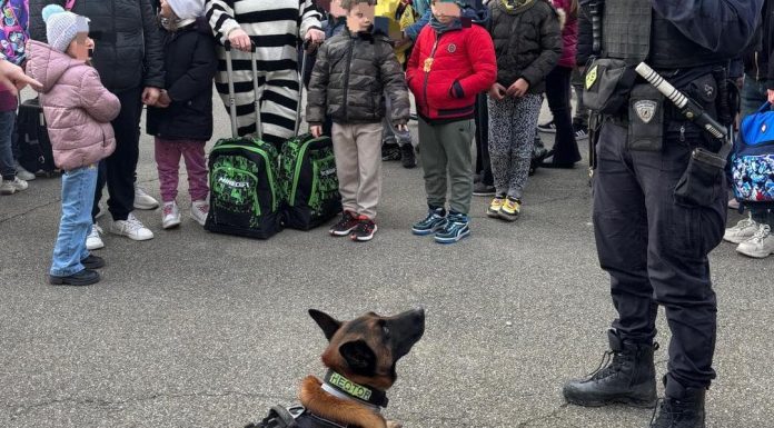 POLIZIA LOCALE SORBARA, SERVIZI STRAORDINARI ANTIDROGA