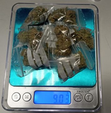 POLIZIA LOCALE, SEQUESTRATA MARIJUANA NASCOSTA NEL PARCO XXII APRILE