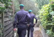 CAPORALATO A MODENA, IN MANETTE UN PAKISTANO: SFRUTTATI OTTO BRACCIANTI