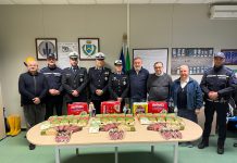 RICETTAZIONE DI GENERI ALIMENTARI: DENUNCIATO UN UOMO DALLA POLIZIA LOCALE DI MIRANDOLA