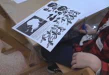 PITTURA E FUMETTO, IL MUSEO CIVICO RACCONTA ELISABETTA SIRANI