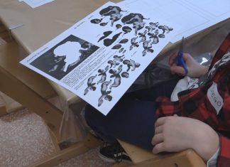 PITTURA E FUMETTO, IL MUSEO CIVICO RACCONTA ELISABETTA SIRANI