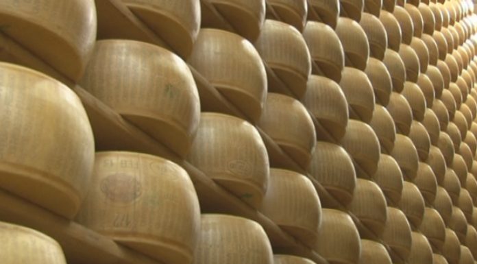 PARMIGIANO REGGIANO. EXPORT DA RECORD, MA SI RIDUCE IL MERCATO INTERNO