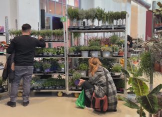 LABORATORIO APERTO, TRE GIORNI DA POLLICE VERDE CON “PIANTALA”