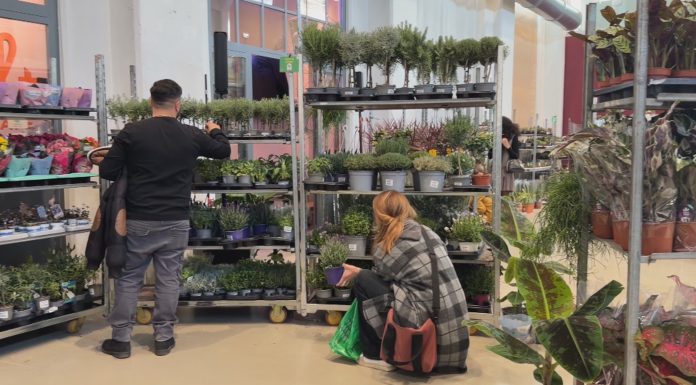 LABORATORIO APERTO, TRE GIORNI DA POLLICE VERDE CON “PIANTALA”