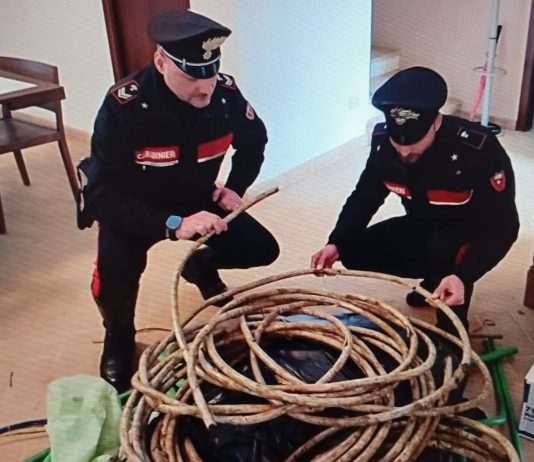 23ENNE IN MANETTE, TROVATO CON DUE BOMBE CARTA, RAME RUBATO E DROGA