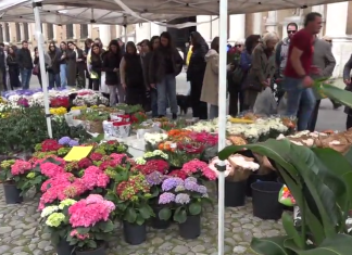 MODENA IN FIORE, OLTRE 160 GLI ESPOSITORI PER LA FESTA DI PRIMAVERA